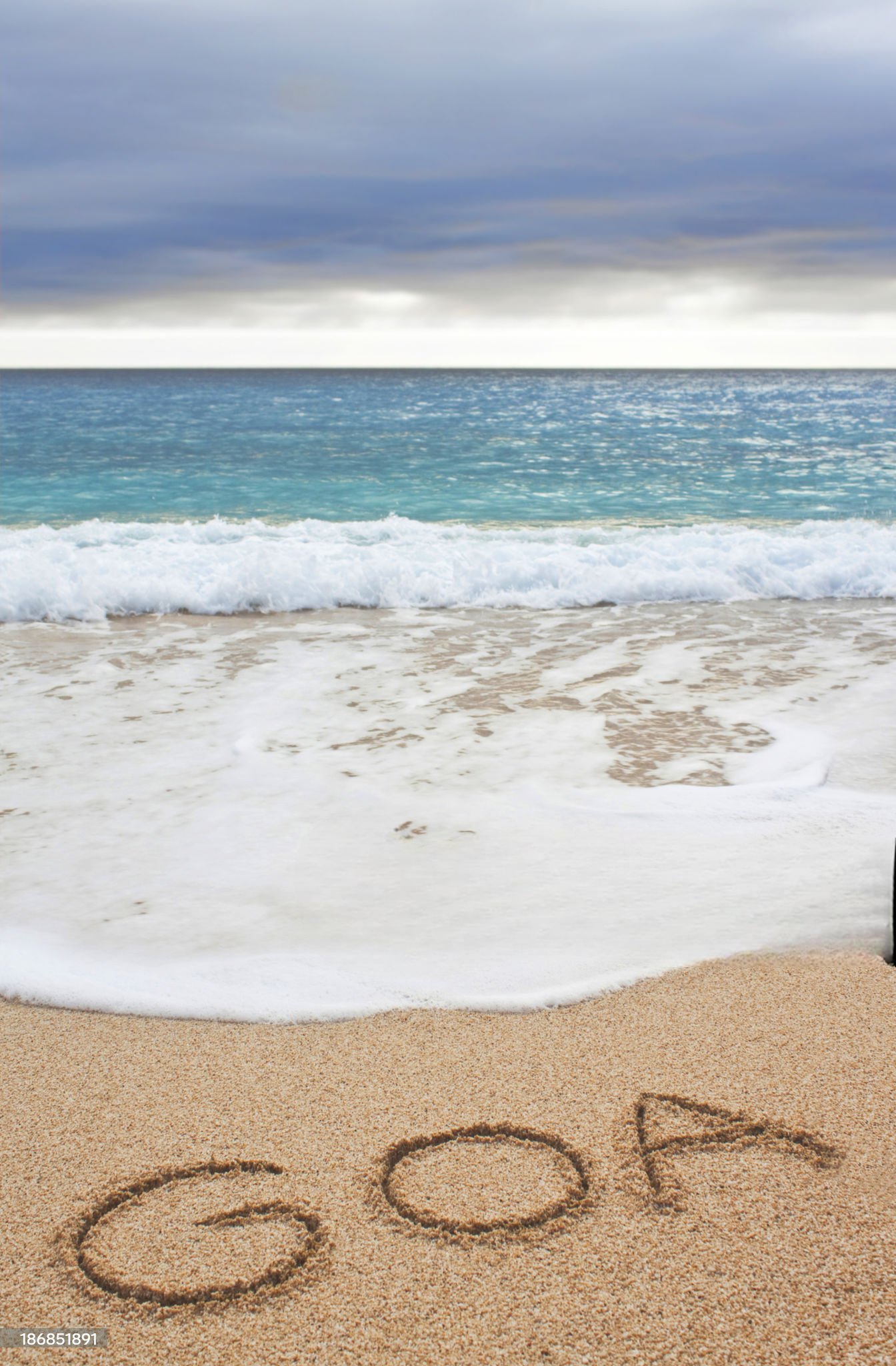 istockphoto-186851891-2048×2048 (1)